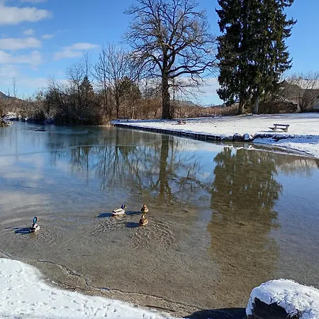 Seesternchen Apartament Faak am See